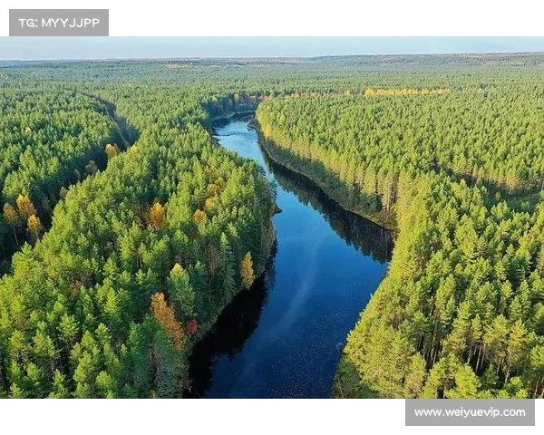 探索永歌森林的自然奥秘与生命活力全景指南 探索永歌森林的自然奥秘与生命活力全景指南