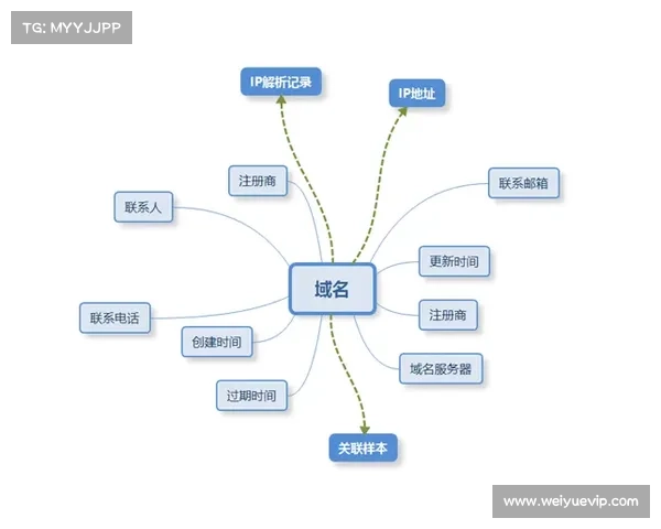 成功文化IP改编的关键因素与经典案例解析 成功文化IP改编的关键因素与经典案例解析