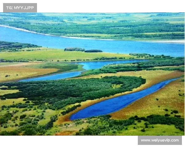蝴蝶平原生态保护与未来自然环境可持续发展的深度探讨 蝴蝶平原生态保护与未来自然环境可持续发展的深度探讨