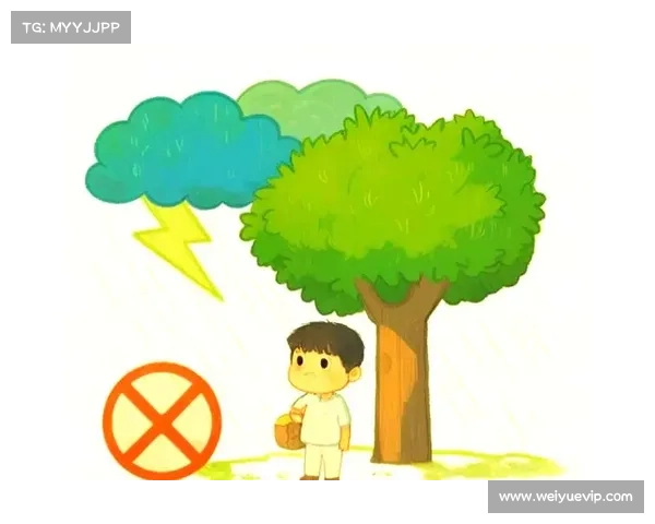 雷电天气安全防范与应急应对全面指南 雷电天气安全防范与应急应对全面指南