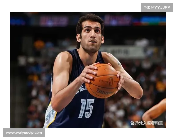 哈达迪坚持不退役的深层原因与各方应对策略的全面分析