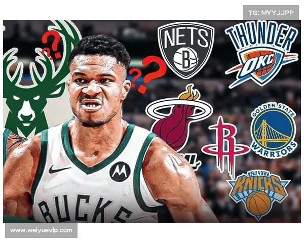 字母哥领衔全球篮球明星 探秘来自不同国家的顶尖球员